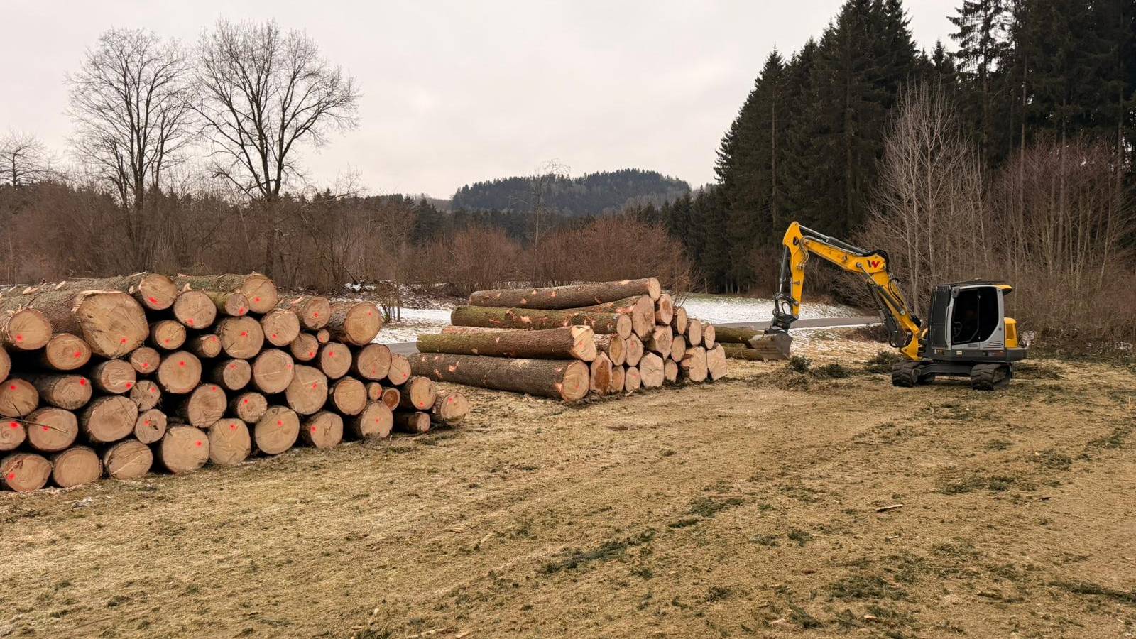 Bagger von Kronfeldner bei Räum- und Baggerarbeiten an einem Waldweg – echte Baustelle im Landkreis Straubing-Bogen