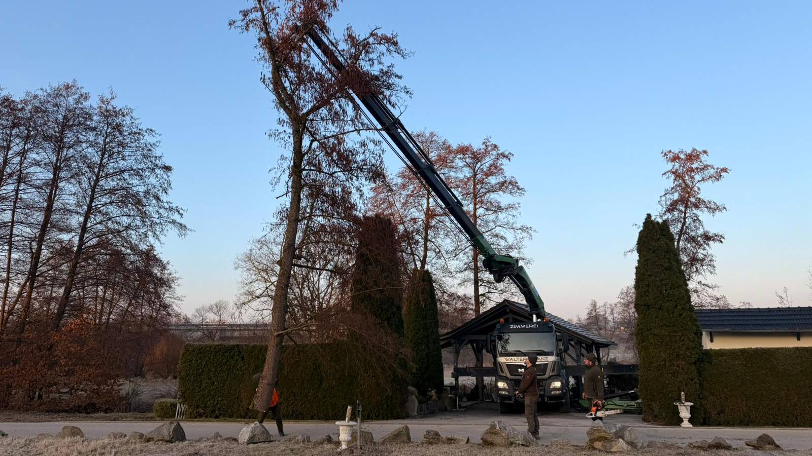 Problembaum-Fällung – Forst- & Baggerbetrieb Kronfeldner